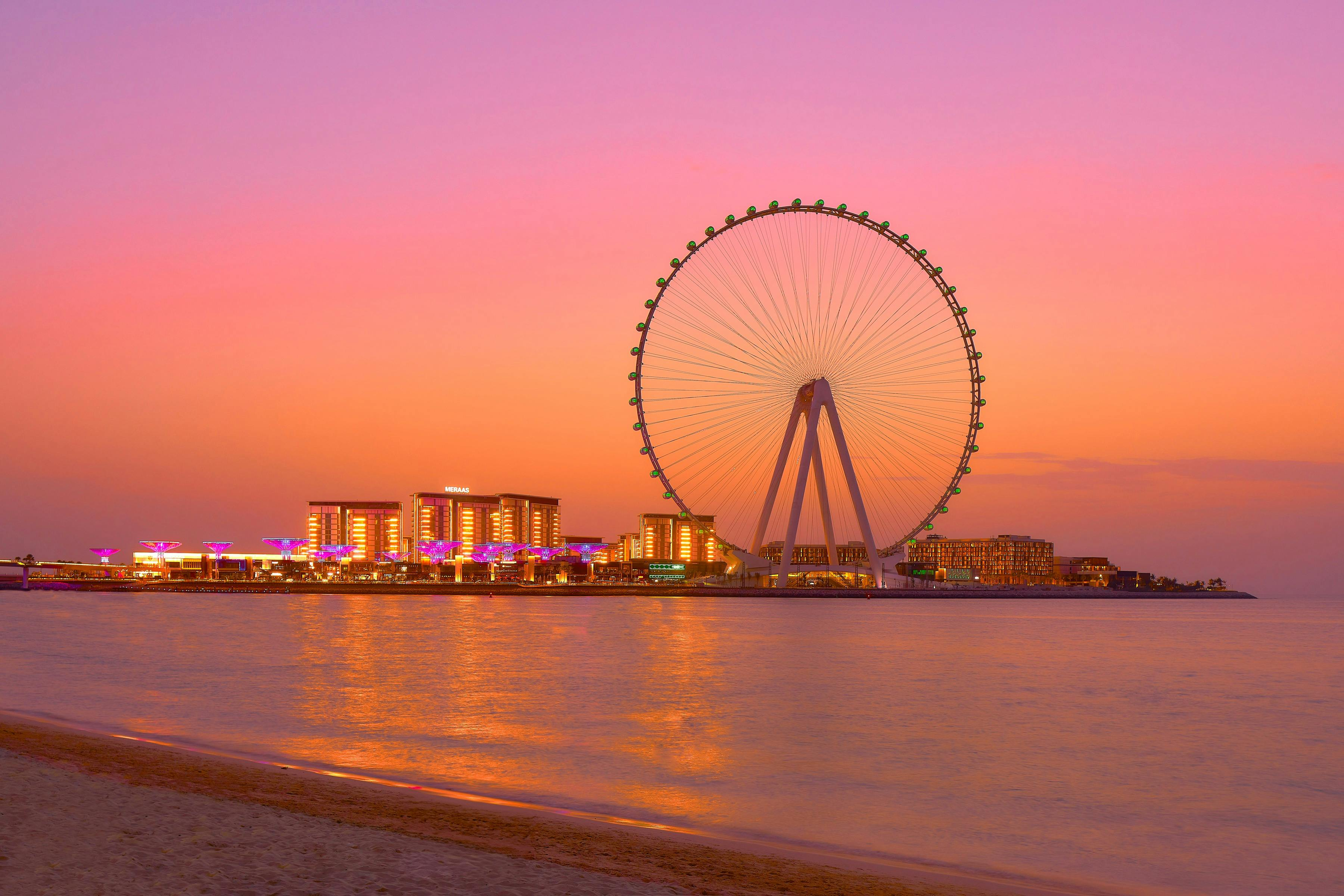 Ain Dubai & 1-Day Access to 1 Dubai Park - Photo 1 of 8